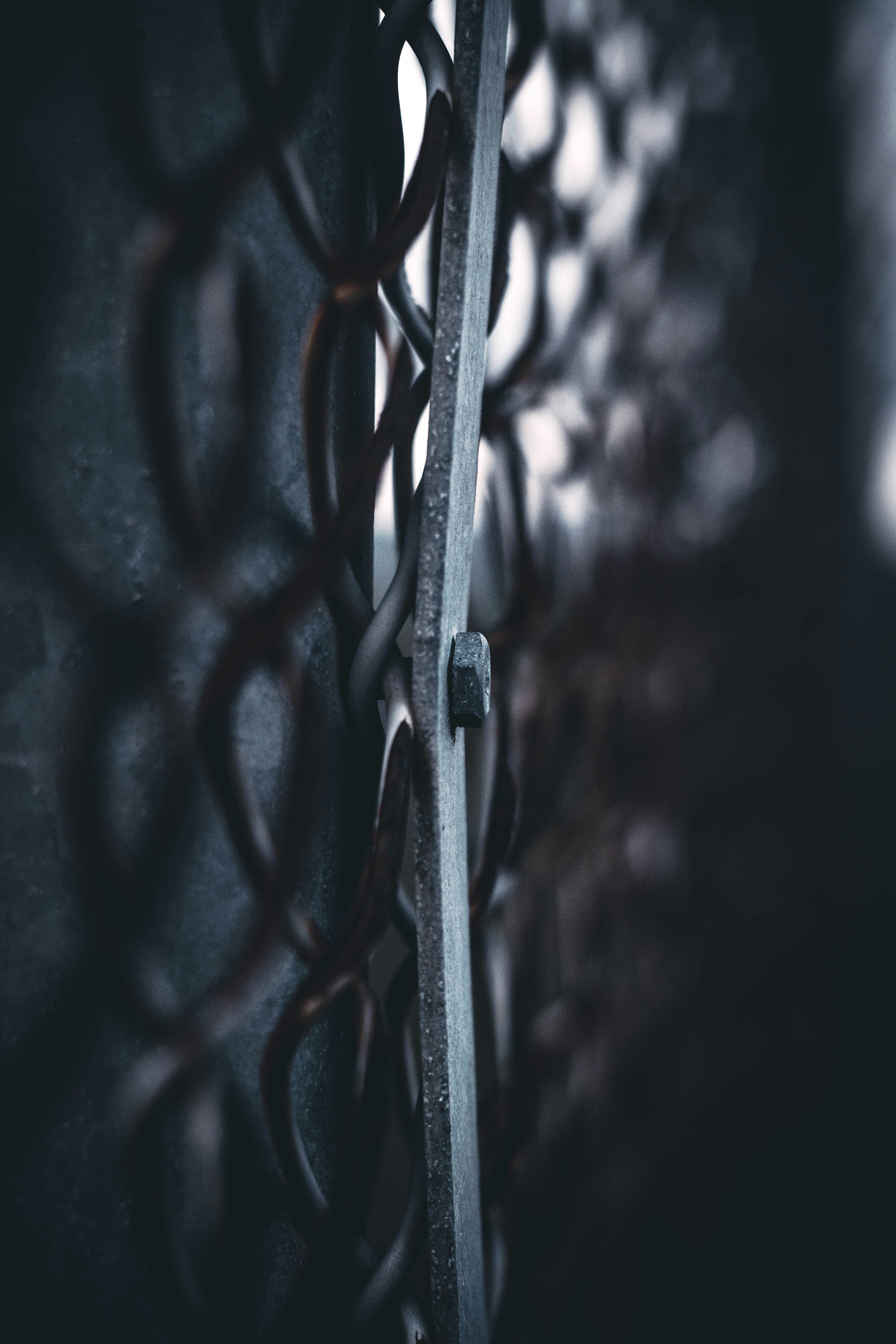 shallow focus photo of cyclone fence